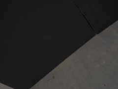 Lekkie i wytrzymałe rośliny z gliny, łatwe do przenoszenia