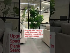 Zmniejsz powierzchnię do sadzenia, używając drzew z gliny włóknistej