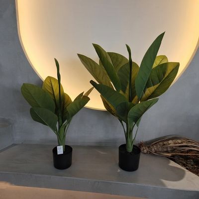 kupować Długotrwały materiał plastikowy Sztuczne rośliny 70 cm Sztuczne drzewo Dieffenbachia online manufacture