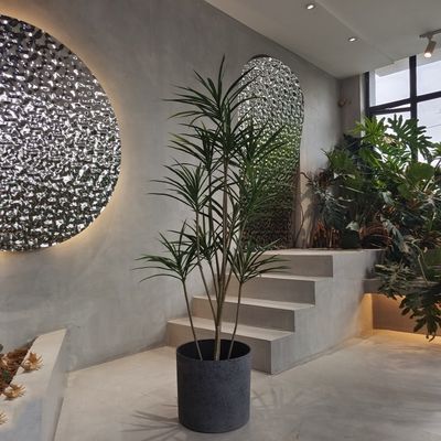 kupować Okrągłe, z recyklingu wykonane plastikowe sadzonki lekkie do sadzenia nasion online manufacture