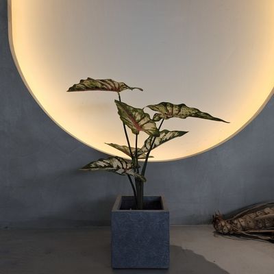 kupować Żywe zielone rośliny sztuczne z tworzyw sztucznych 70-120 cm do dekoracji w pomieszczeniach i na zewnątrz online manufacture