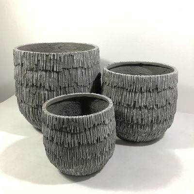 kupować Długotrwałe i piękne rośliny dla ogrodu online manufacture