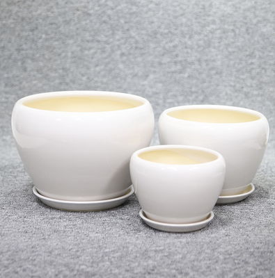 Wspaniałe wystawy roślin z naszymi ceramicznymi garnkami przystępne ceny