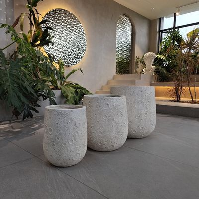 Ręcznie rzeźbiony wzmocniony gliniany plantator Nowoczesny styl dla ogrodów wewnętrznych i zewnętrznych