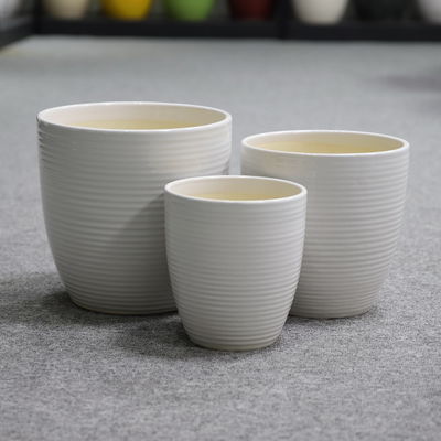 Wspaniałe pokazy roślin z naszymi ceramicznymi garnkami różnych rozmiarów