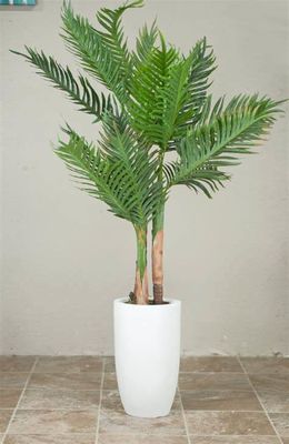 Nazwa