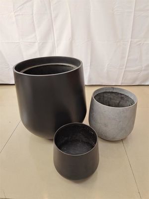 Nazwa