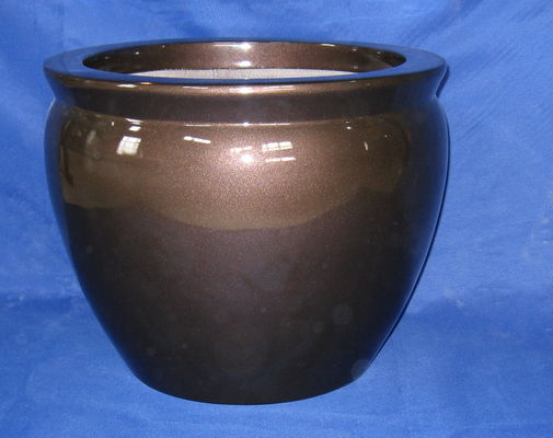 Nazwa