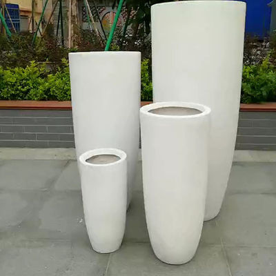 Nazwa