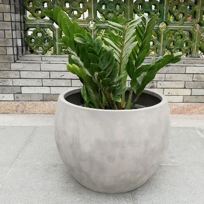 Nazwa